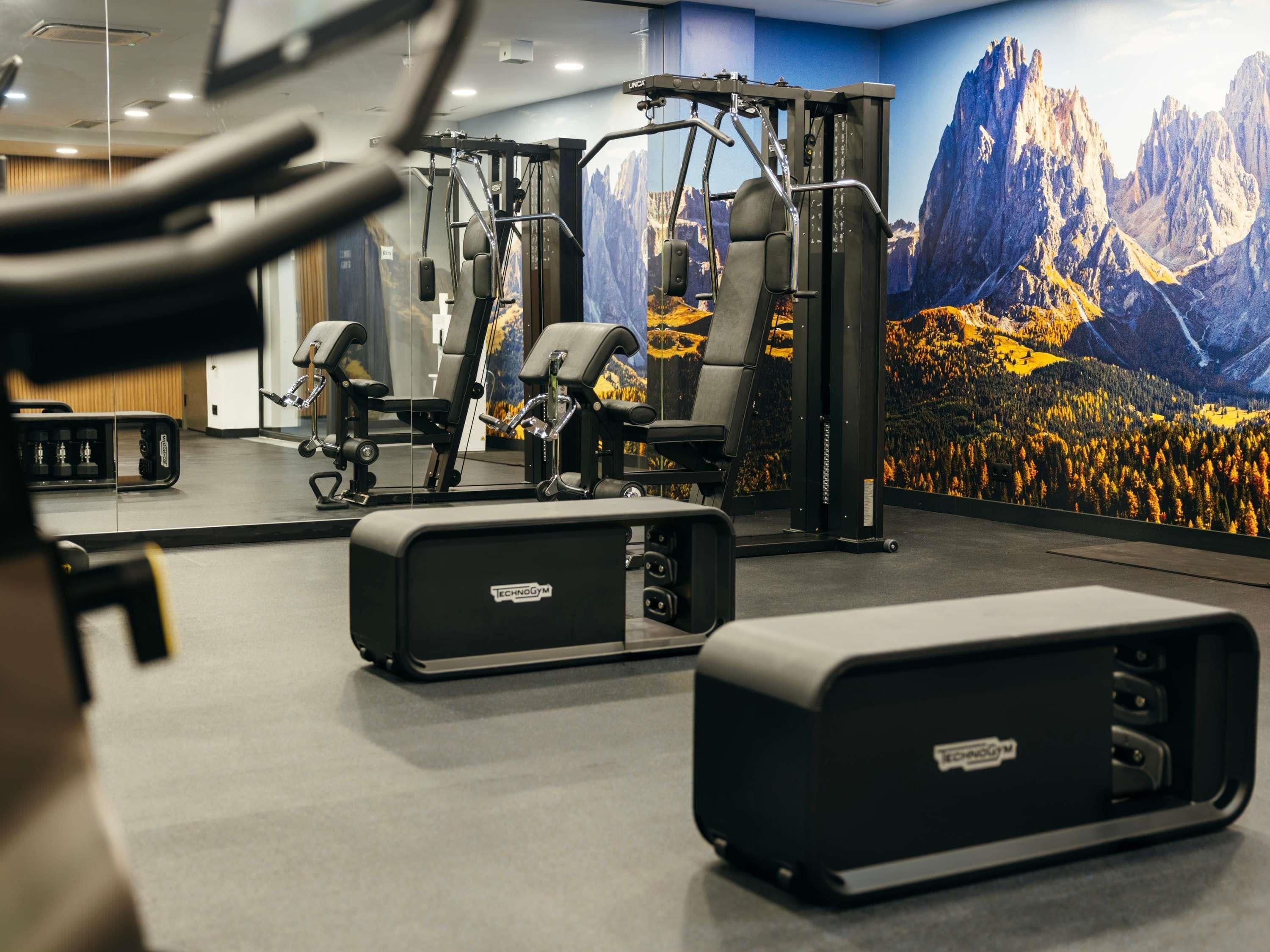 A gym with various exercise machines, a large mirror, and a mountainous mural on the wall.
