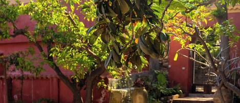 A woman sitting at a round table with a plate of fruit and a cup, surrounded by wicker chairs in an outdoor patio area with plants and a staircase.