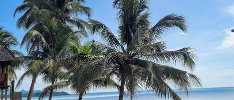 En la playa, buceo, snorkel, surf