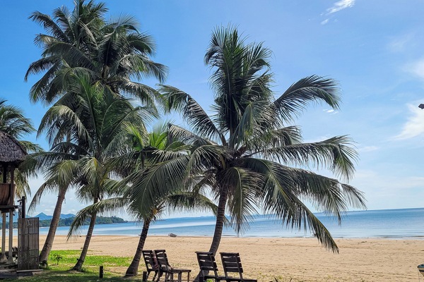 Plage, plongée sous-marine, snorkeling, surf