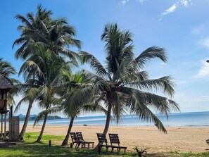 Plage, plongée sous-marine, snorkeling, surf