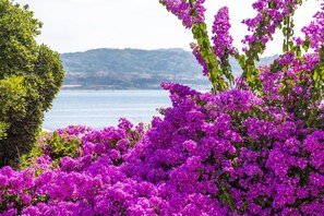 Room - Villa Rispoli by Napoliapartments (Bacoli)