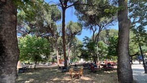 An outdoor seating area with tables and chairs under trees, surrounded by a grassy area and a paved walkway.