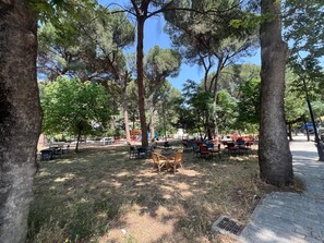 Terrein van de accommodatie