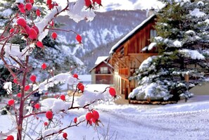 Une cabane en bois, un paysage enneigé et un arbre aux baies rouges.