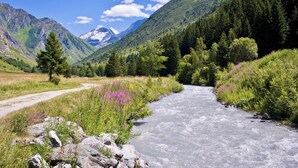 Ein Fluss fließt durch eine gebirgige Landschaft mit einem Feldweg und dichtem Wald.
