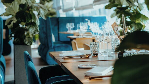 Un interno di ristorante con un lungo tavolo, sedie e piante in vaso.