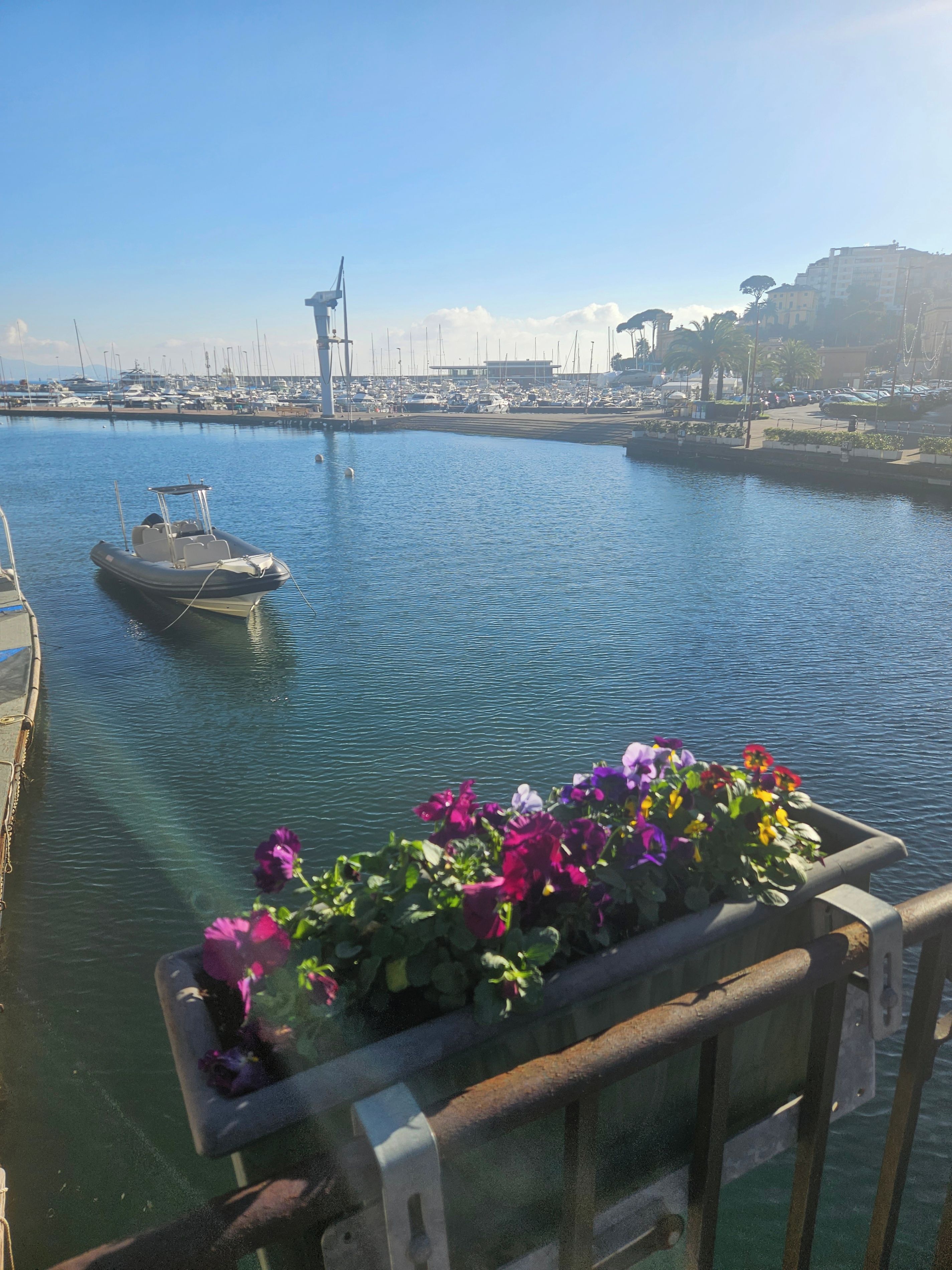 A marina with boats, a flower planter, and a clear sky.