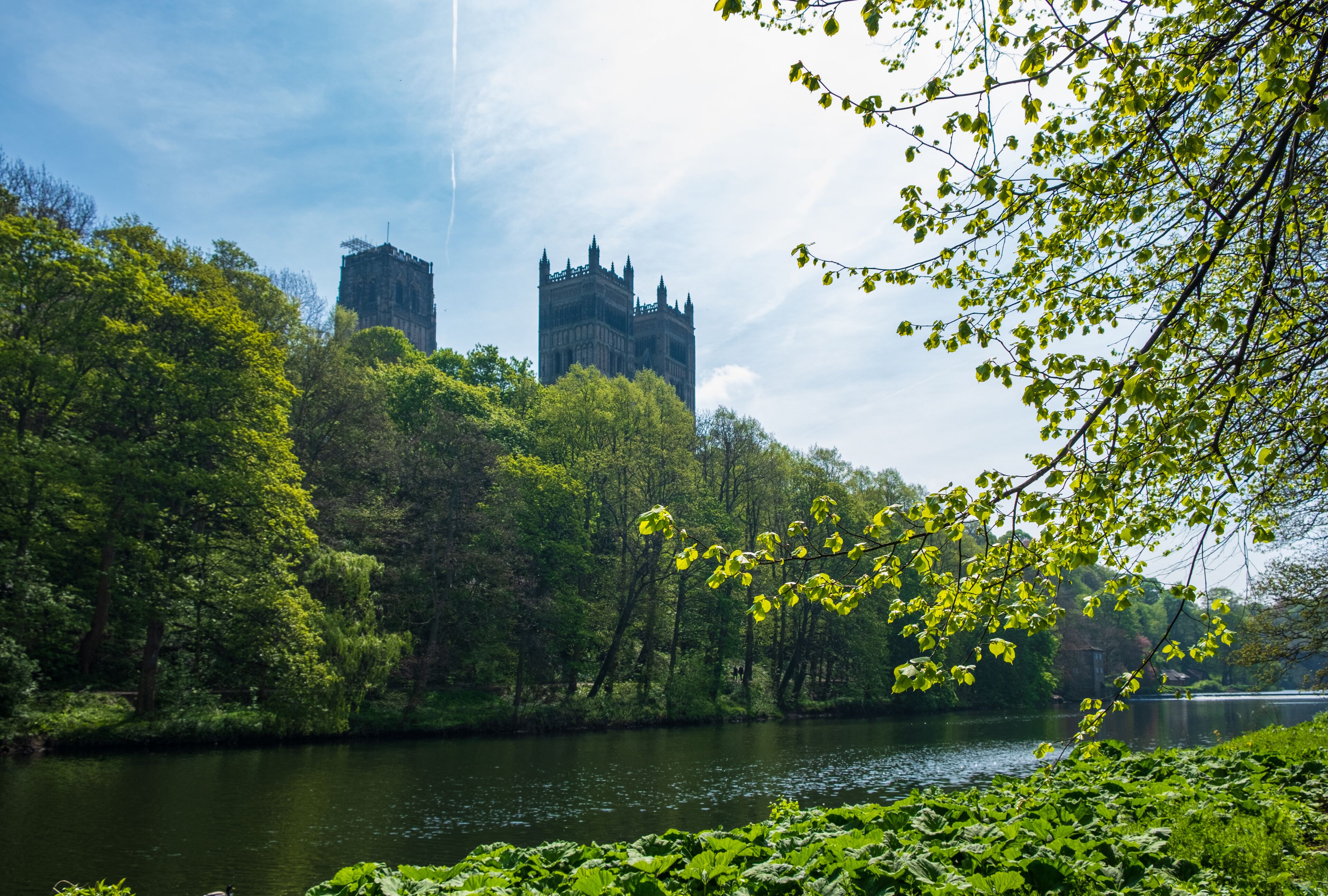 A castle surrounded by lush greenery and a calm river.