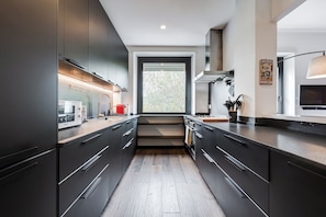 Apartment, 1 Bedroom, Non Smoking, City View | Private kitchen