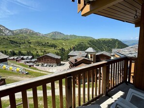 Property grounds - 3-room apt, heated pool, pets allowed, ski-in/ski-out (Belle Plagne)