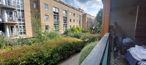 Spacious Riverside 1Bd in Bustling Village