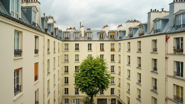 Un cortile con un albero centrale circondato da edifici a più piani con balconi e finestre.