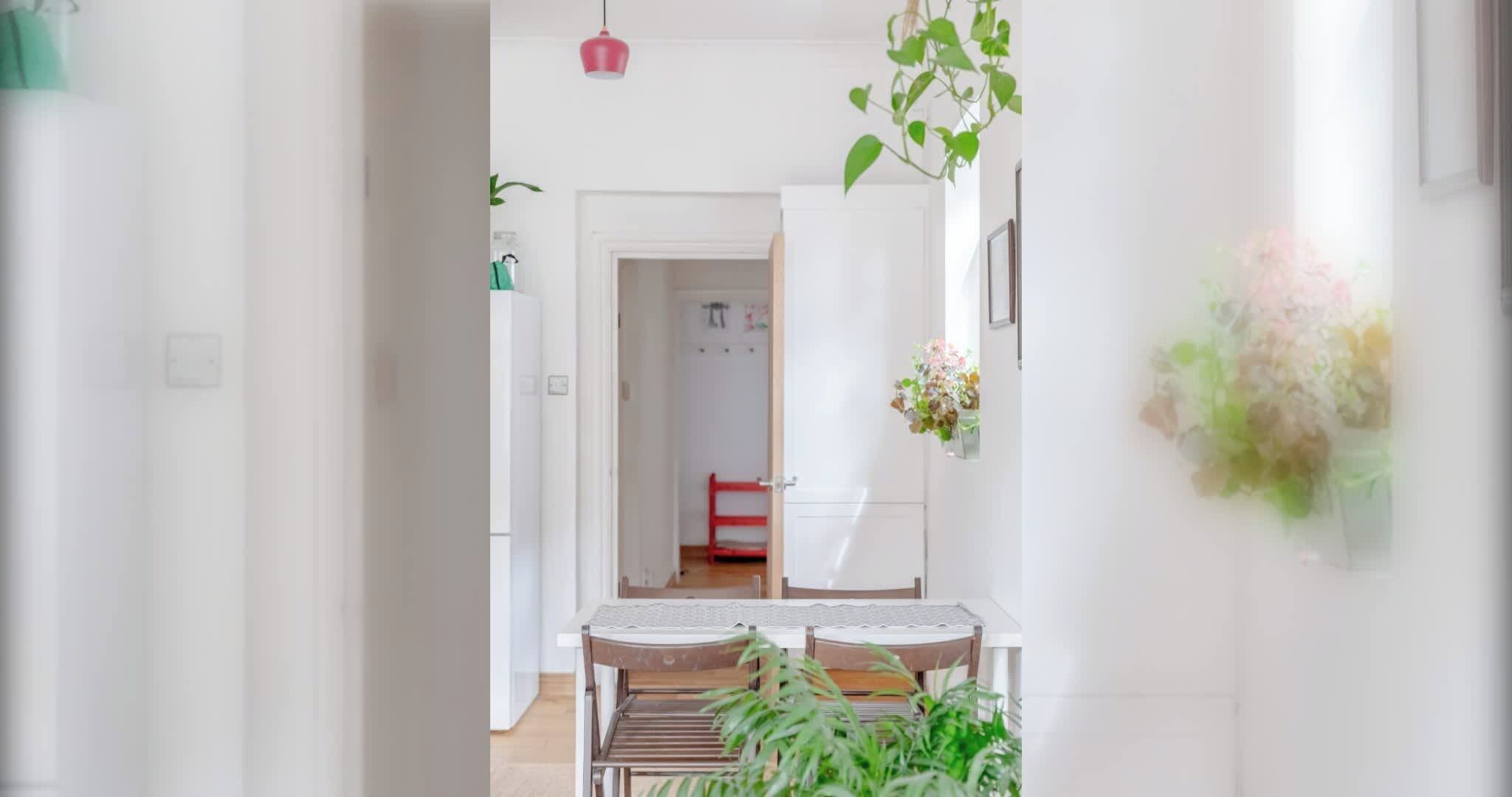 Un pasillo que conduce a una habitación con una mesa de comedor, sillas y una planta colgante.