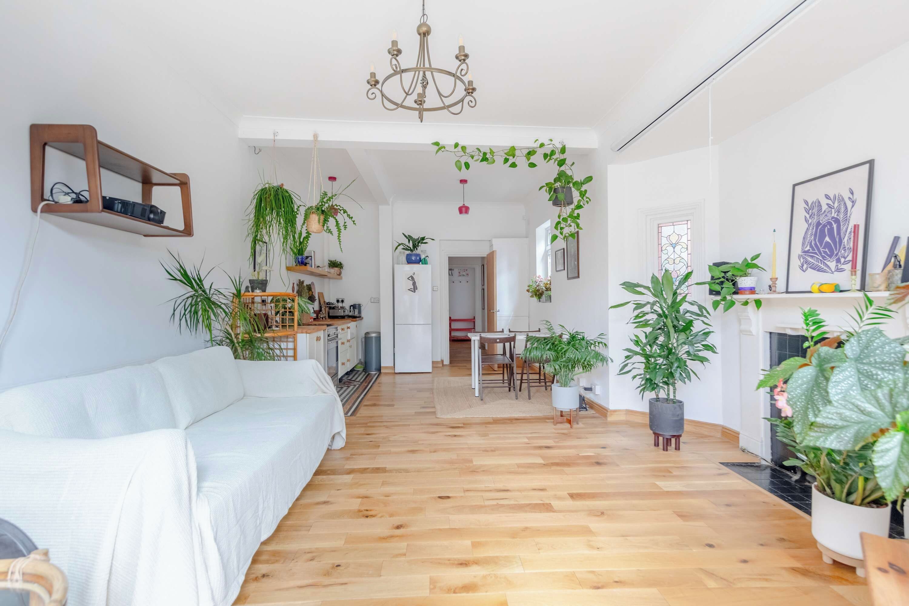 A modern living room with a white sofa, wooden flooring, and various potted plants.
