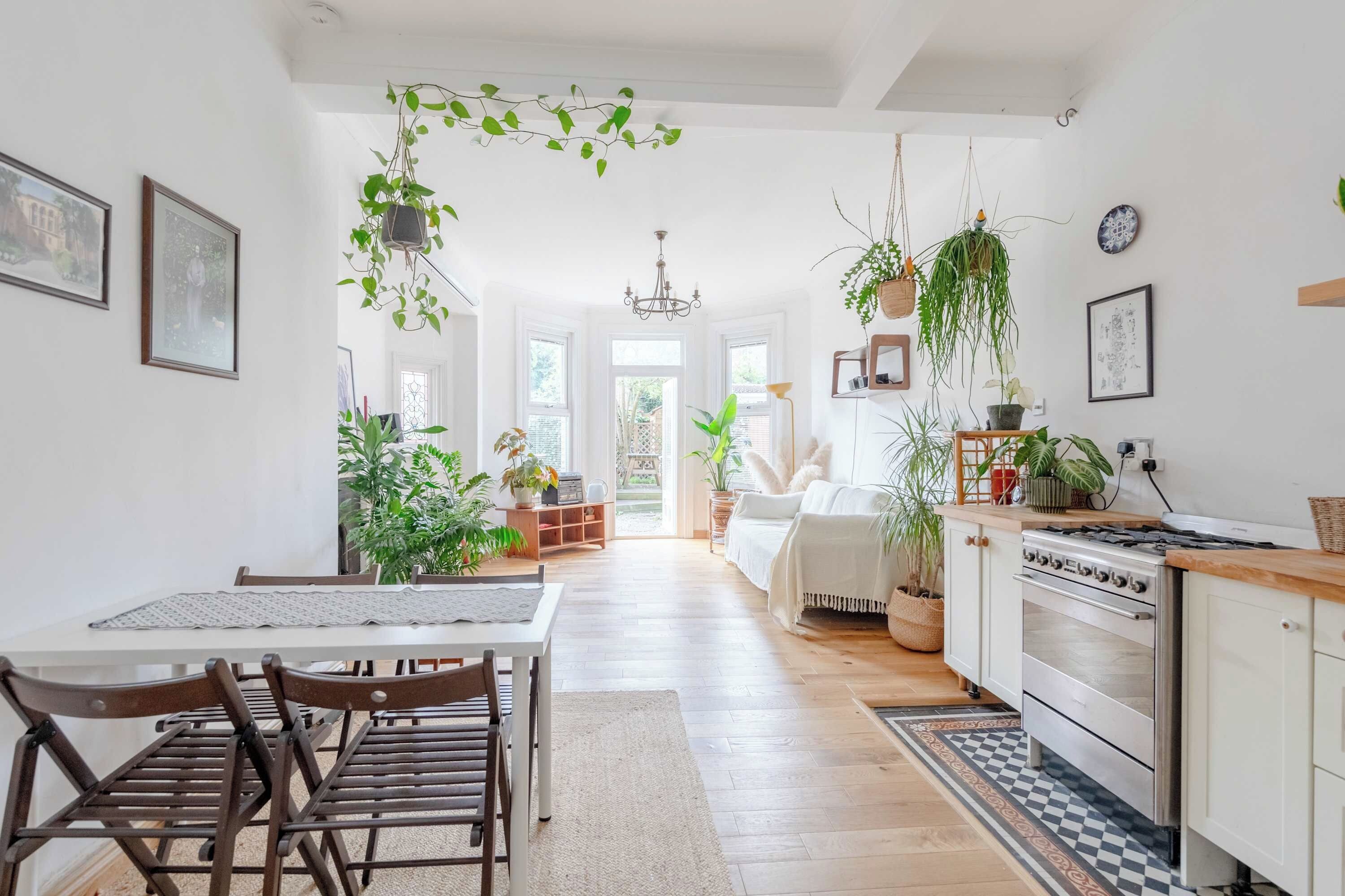 Una cocina amplia con piso de madera, un área de comedor con mesa y sillas, y diversas plantas en macetas.