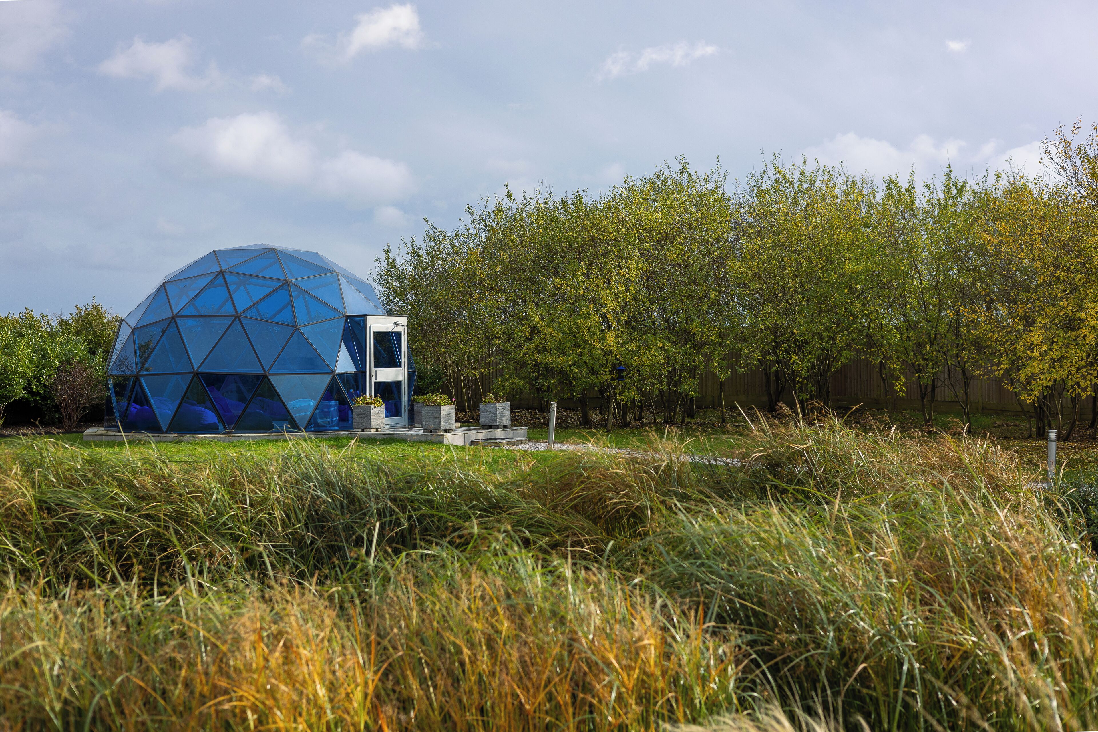 A geodesic dome structure with a flat roof, surrounded by tall grass and trees.