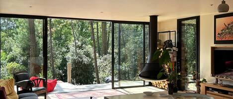 Télévision, cheminée