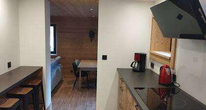 Appartement T3 rénové avec parking, terrasse et cour privative