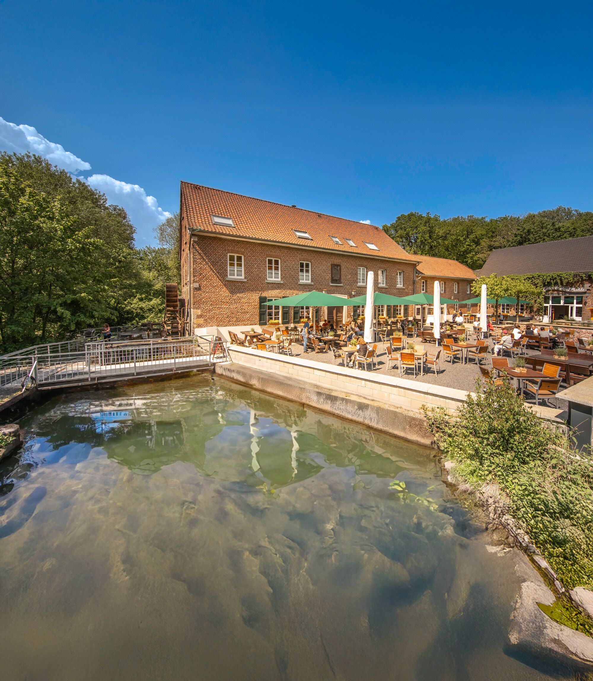 지역 특선 요리, 정원 전망 