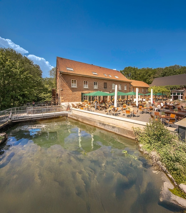 Đặc sản vùng, nhìn ra vườn