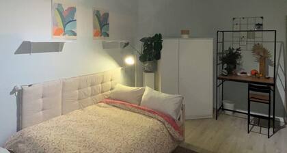 Comfortable cozy and warm studio in phenomenal Vienna, easy to get around