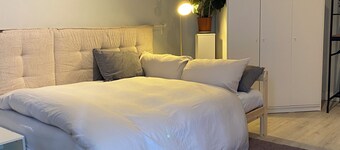 Comfortable cozy and warm studio in phenomenal Vienna, easy to get around 