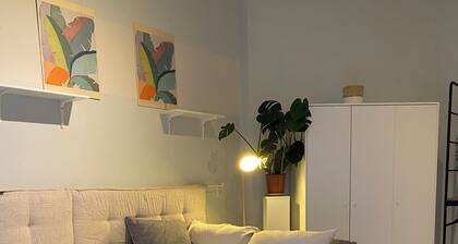 Comfortable cozy and warm studio in phenomenal Vienna, easy to get around