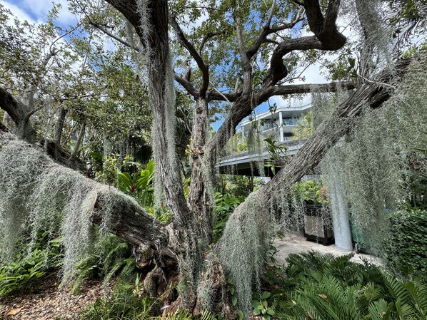 Parco della struttura