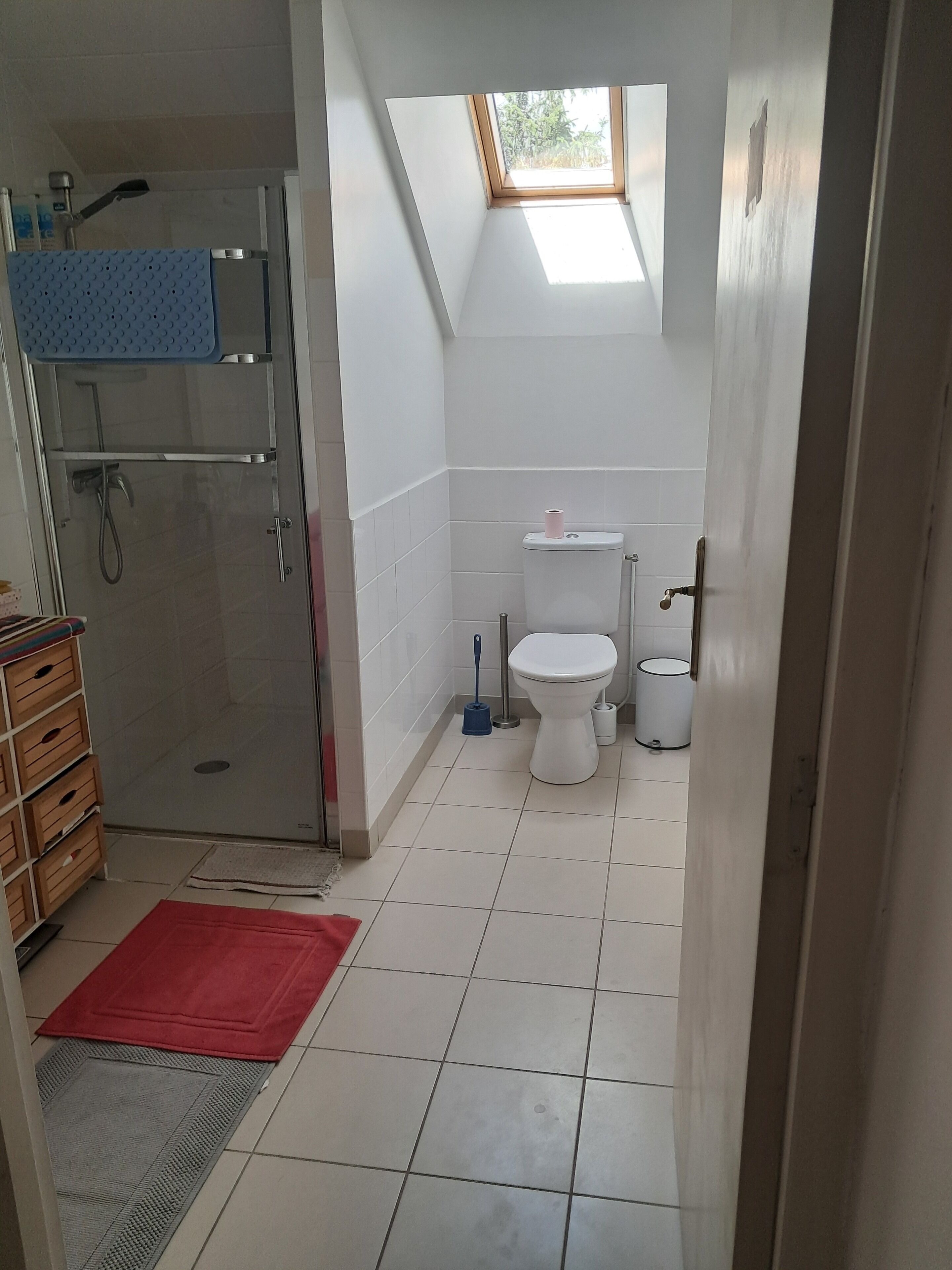 Douche, savon, shampoing, papier toilette