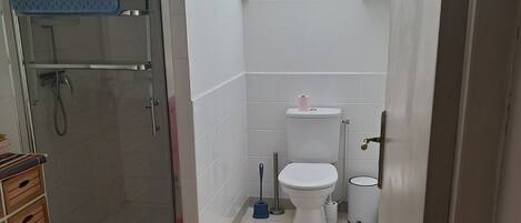 Ein Badezimmer mit Dusche, Toilette und Dachfenster.