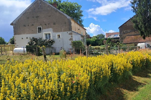 Boendeområde