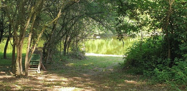 Escape to a serene natural oasis with a tranquil body of water and lush surroundings.