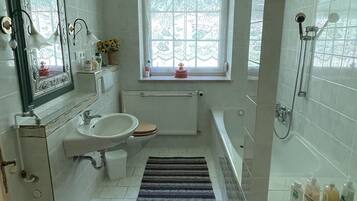 Shower, hair dryer, bidet, towels