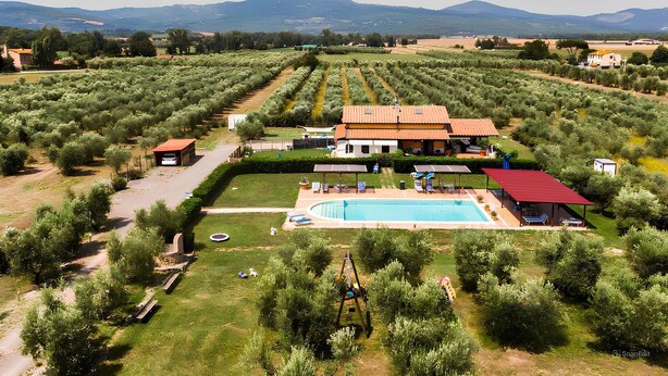 A villa with a swimming pool, surrounded by olive groves and a red-roofed pavilion. - House in the Maremma with garden, pool and WiFi in Tuscany (roccastrada)