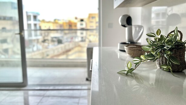 Una cocina moderna con un ventanal grande, una cafetera y una planta en maceta sobre la encimera.