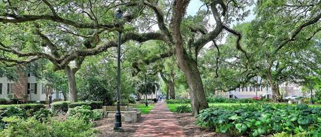 Parco della struttura