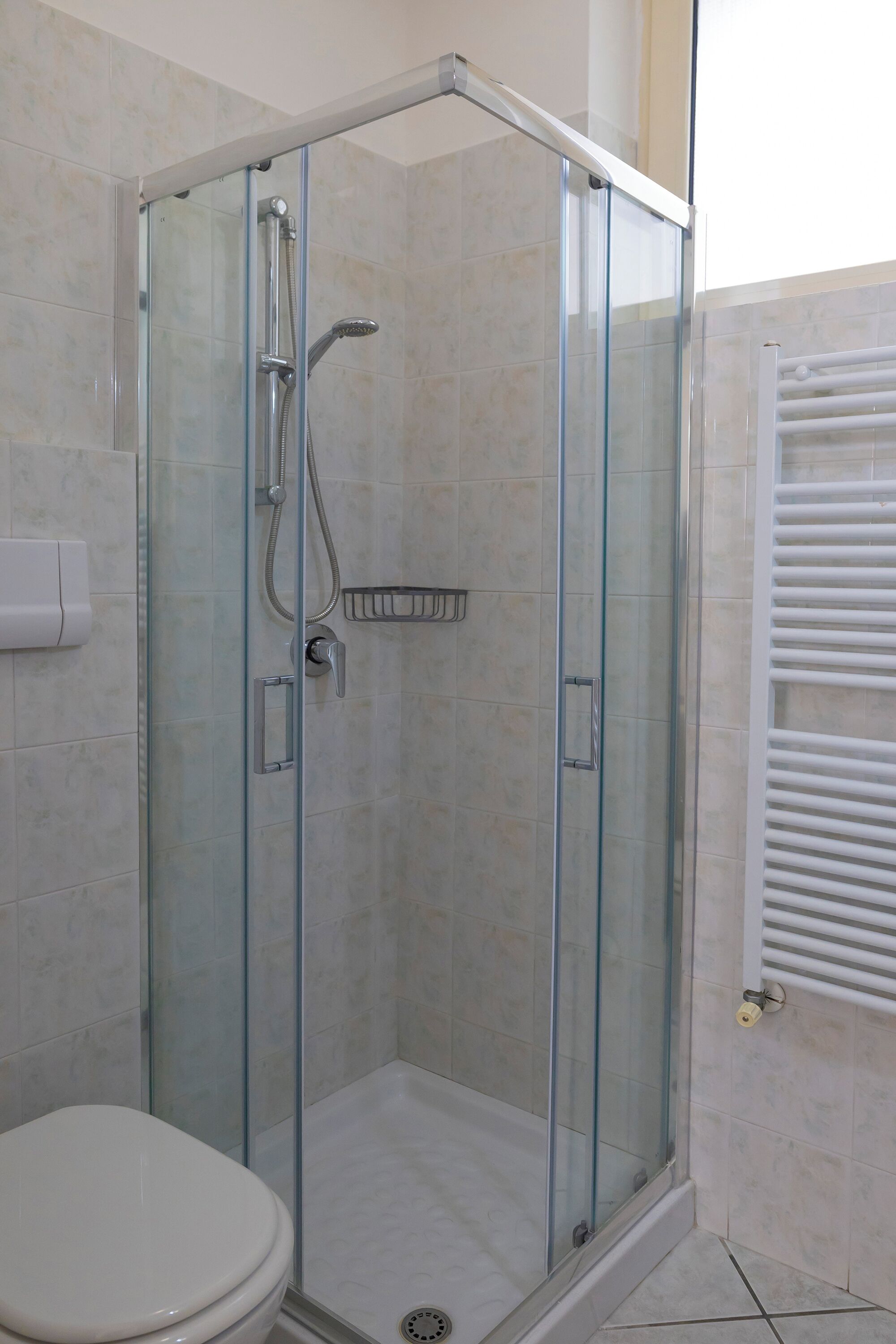 A glass-enclosed shower stall with a white toilet to the left.