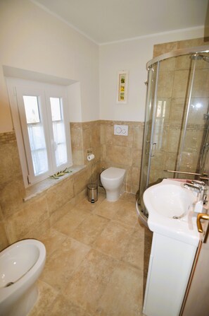Hair dryer, bidet, towels, soap