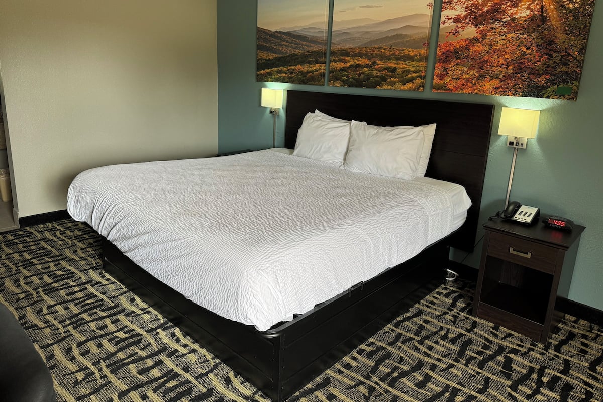 Basic Single Room | Premium bedding, down comforters, pillowtop beds, individually furnished