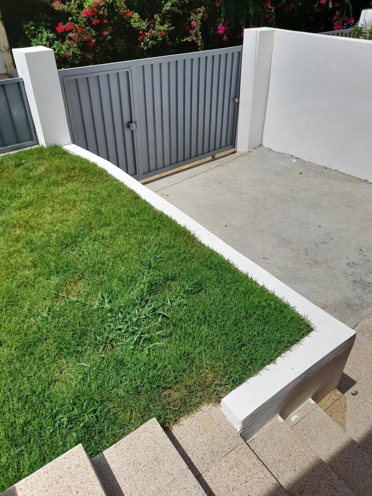 Un patio ajardinado con césped y suelo de hormigón.