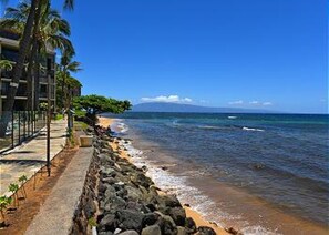 Condo, 1 cama King e sofá-cama (Kaanapali Shores 418) | Praia | Na praia 