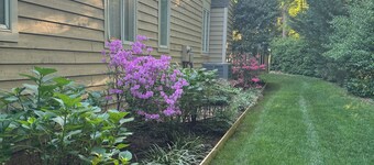 Clean comfy Reston B&B with ping pong table