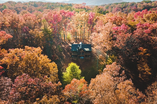 Escape to the mountains—secluded cabin with nature views, peace & fresh air!