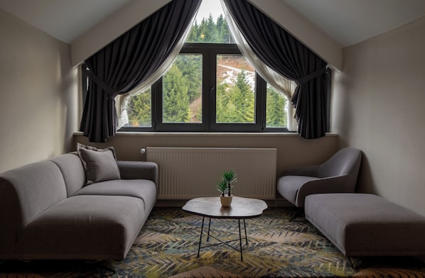 Un salon moderne avec un plafond en pente, deux canapés, une petite table avec une plante et une grande fenêtre avec des rideaux.