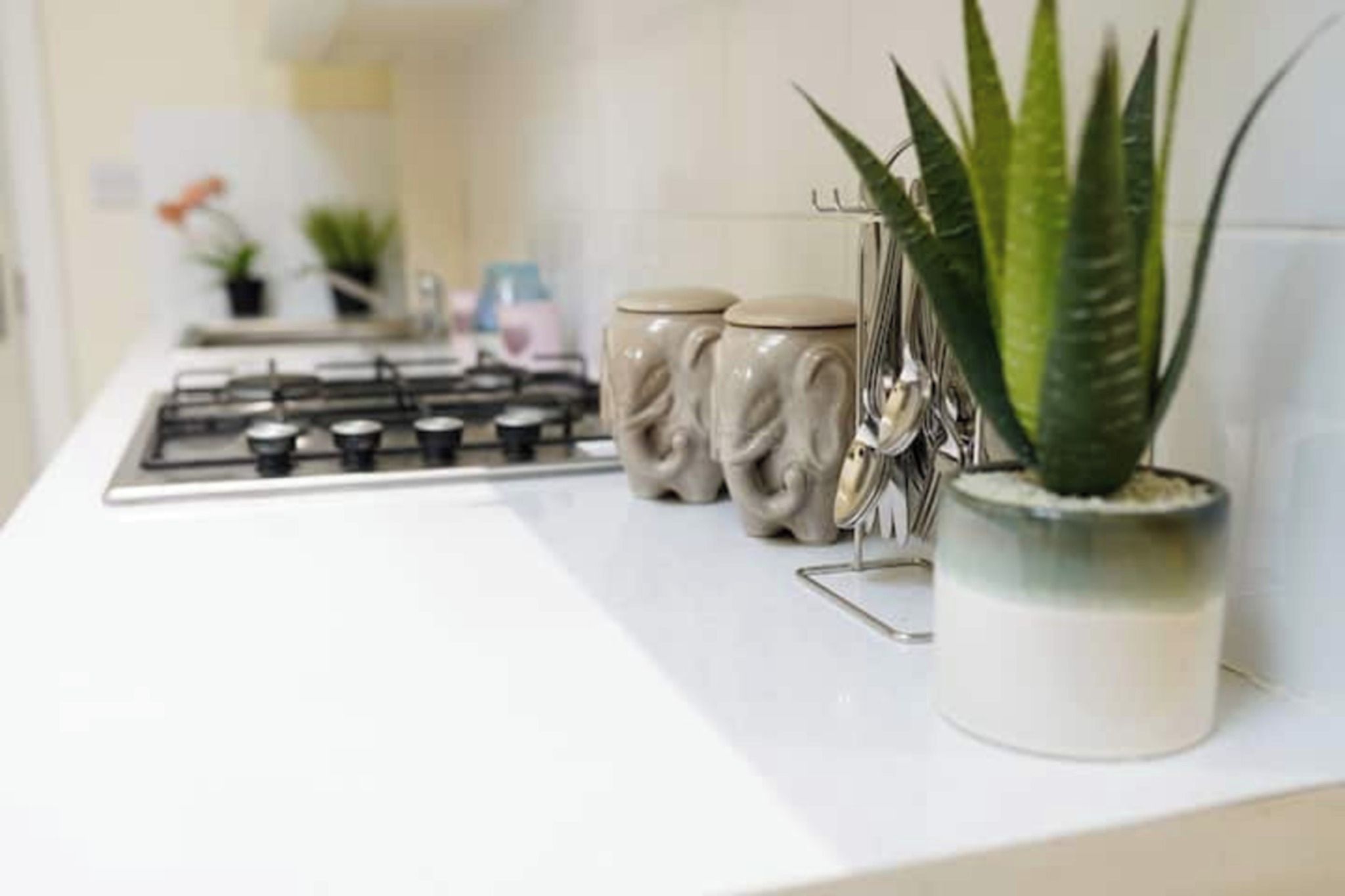 Una cocina con estufa a gas, dos frascos de cerámica y una planta en maceta.