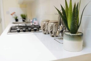 Cozinha com fogão a gás, dois potes de cerâmica e uma planta em vaso.