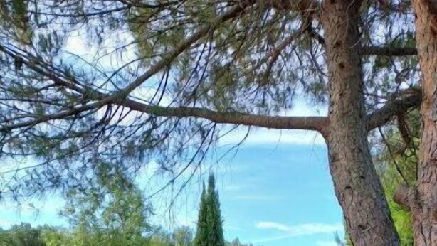 A garden with a pergola, a round table, and a seating area. - Bright, quiet apartment with private pool (Vaison-la-Romaine)