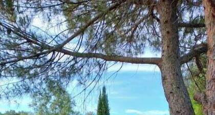 Appartement lumineux et calme avec piscine privative