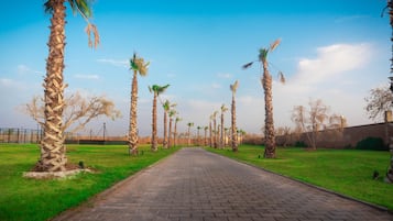 Àrea exterior de l'allotjament